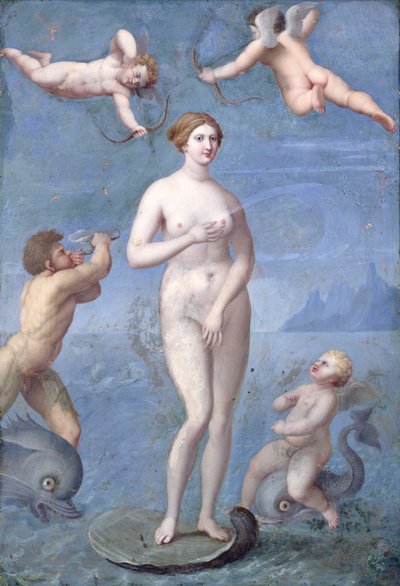 Venus, 1640 von Jacques Stella